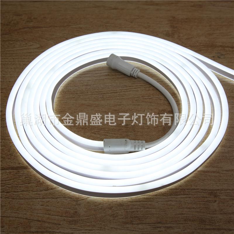 霓虹型灯霓虹灯带管圣诞节酒吧节日LGW装饰LED造彩灯