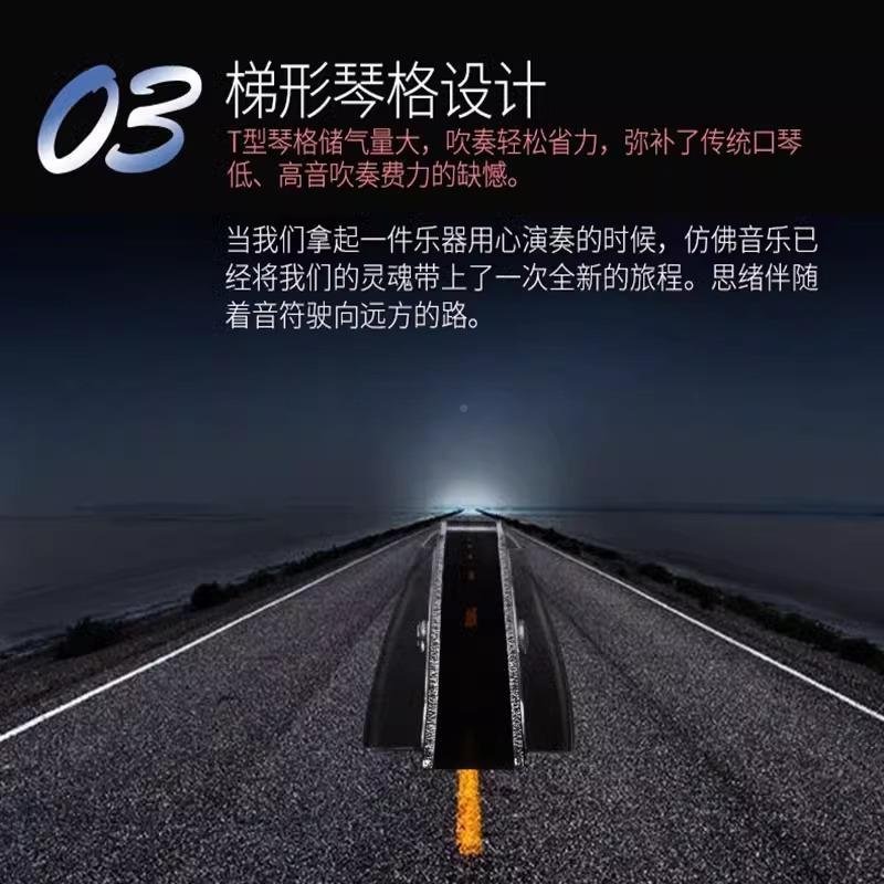 天鹅4孔复VDD重音口琴成高端2送礼初学者人入门音专业演奏级