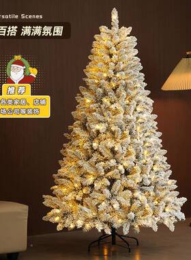 圣节大型加密落诞雪色植绒圣诞树家店用带灯IPQ仿真装白饰酒橱窗