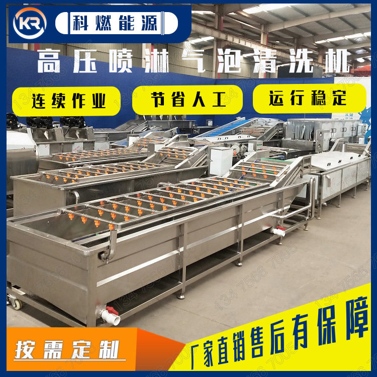 大型蔬菜清洗机器 全自动不锈钢气泡清洗机 多功能果蔬喷淋式洗菜