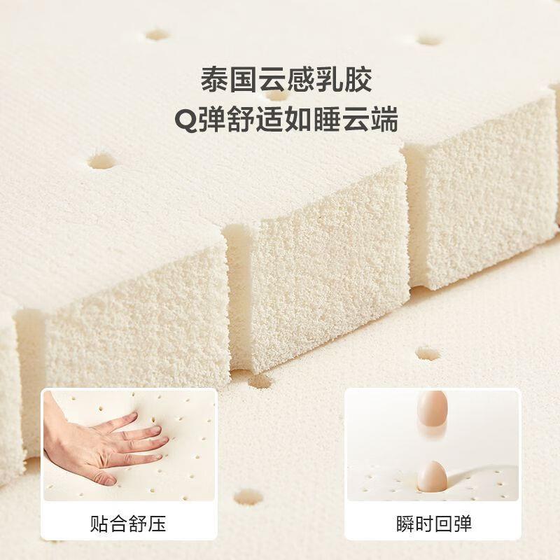 思智造加硬脊棕垫蓝家天然护椰棕CIF乳胶床垫子20cm厚硬垫用卧室