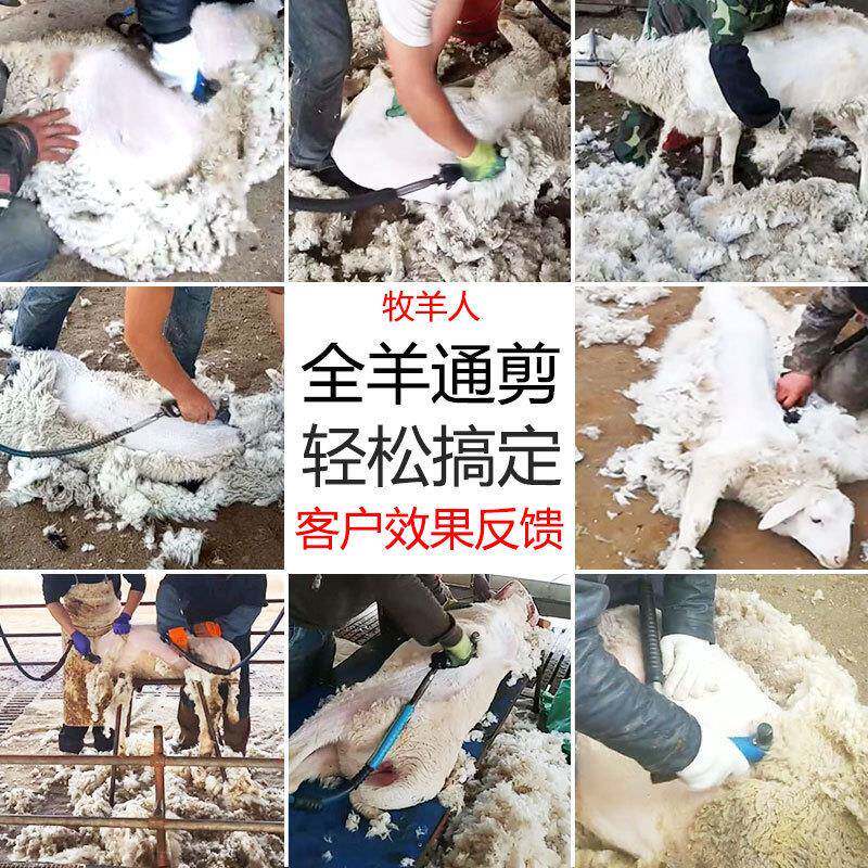 电动软轴毛羊毛毛牧羊人剪剪CLI子机打剃羊电手持羊式交流电剪推