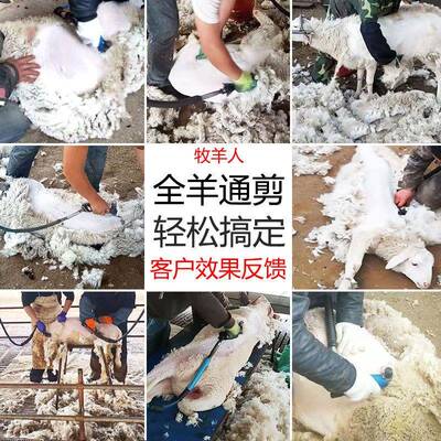 电动软轴毛羊毛毛牧羊人剪剪CLI子机打剃羊电手持羊式交流电剪推