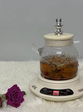 功现代迷你养生壶多能家用小壶型玻办璃茶壶烧水WYK公室保温花茶