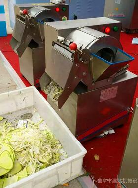 土豆马铃薯切丝机图片薯条切丝价机功能RZP切格多丝机格