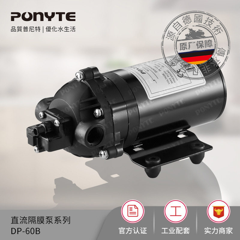 微型隔膜泵电动潜水泵增压洗车抽水泵DP-60系列微型自吸式隔膜泵