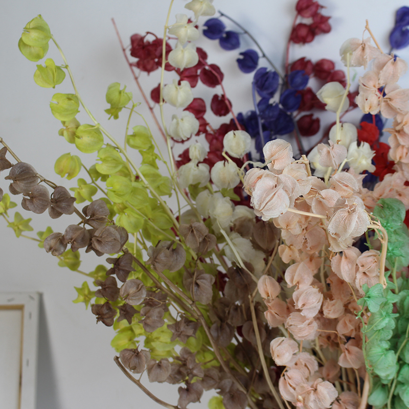 风铃果 永生花真花乾燥花灯笼果天然花材派对装饰婚礼布景家居装