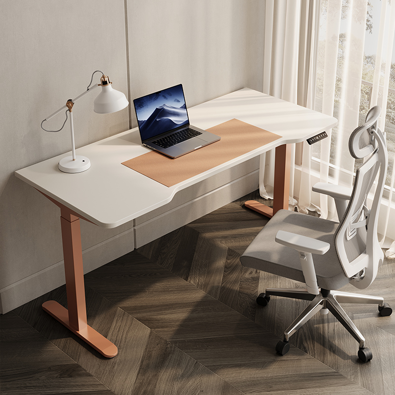 嘉志电动升降桌电脑桌学习桌书桌家用办公桌电竞桌子可升降工作台