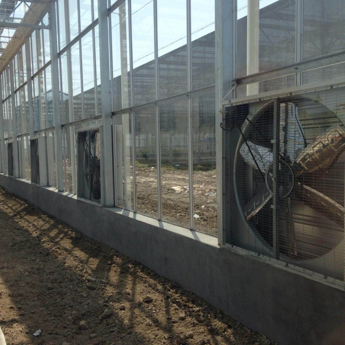 热镀锌板负压风机工业排风扇重锤排气扇大棚养殖场通风换气扇