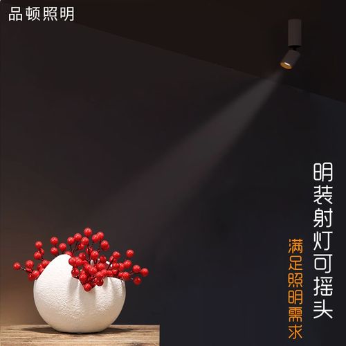明装聚光射灯3w3度8度一束餐厅酒吧家用吸顶式可调角度茶室氛围灯