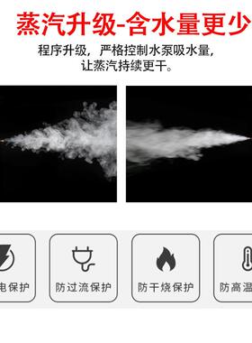 蒸圣泰小清洗机汽多功能手持蒸汽清洁机型家居软装OSV清洗机高温