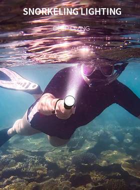 D08潜HGD04512水手电筒5黄光+白光双光源P0磁控超开关大功率亮远