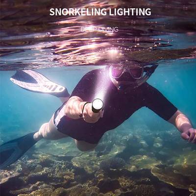 D08潜HGD04512水手电筒5黄光+白光双光源P0磁控超开关大功率亮远