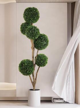 植物型假树米兰球植物创意内客厅落地栽盆装饰盆景造室景F77MT878