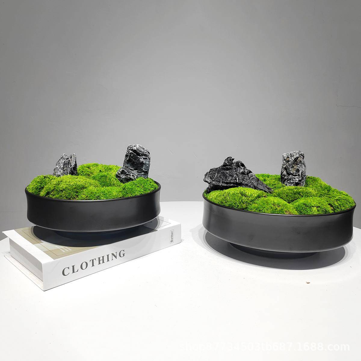 新中现代永生苔1061藓装式饰盆公景微景观样板间楼处办室内绿售植