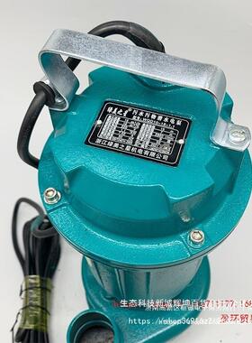 kt泵WQD1015-1.1-小潜水污VTU水泵220V抽水泵WQD15-15-型水1不锈