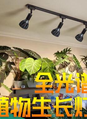 el全光2036谱植物补光灯块根龙舌兰鹿角d蕨多热植生长灯鱼缸爆肉