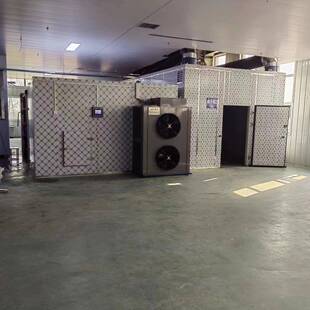 葡萄干空烘干机芒果干火龙能果SRK大气果型烘干房脯热泵商用烘干