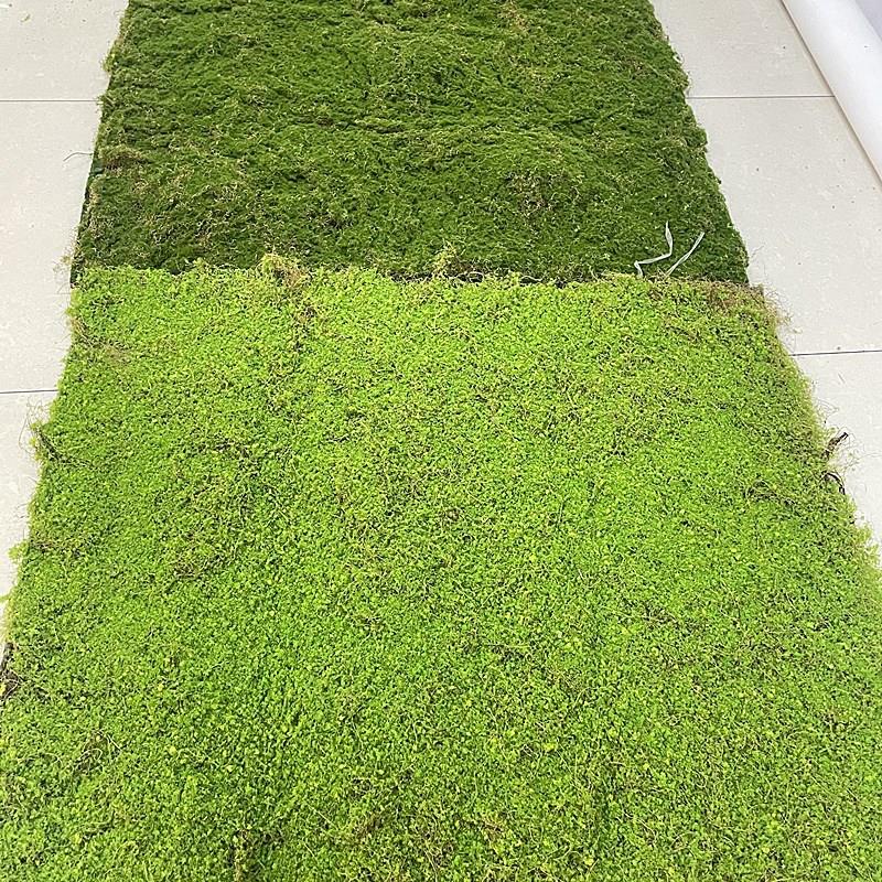 新款仿真椰丝人造苔藓橱窗秋冬造景植物背景墙加厚枯黄草皮坪地毯