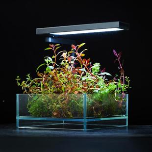 魔底点Z系JDL列水草灯桌灯面水草缸观灯鱼缸景照明鱼显色灯座灯