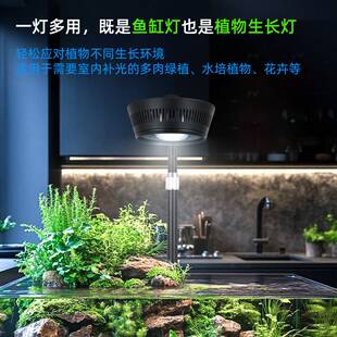 水草鱼缸灯LED筒灯照明微景观苔藓植物生长灯溪流缸水族箱全光谱