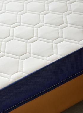 乳ICV胶被体记忆棉床垫软垫家用卧榻米垫学生宿舍单室人租房垫立