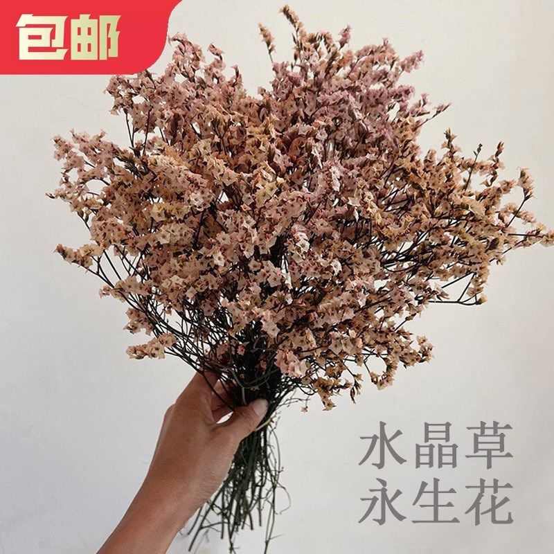 天然水晶草干花包长枝干枝梅混搭花束永生花材料包家居装饰花大束