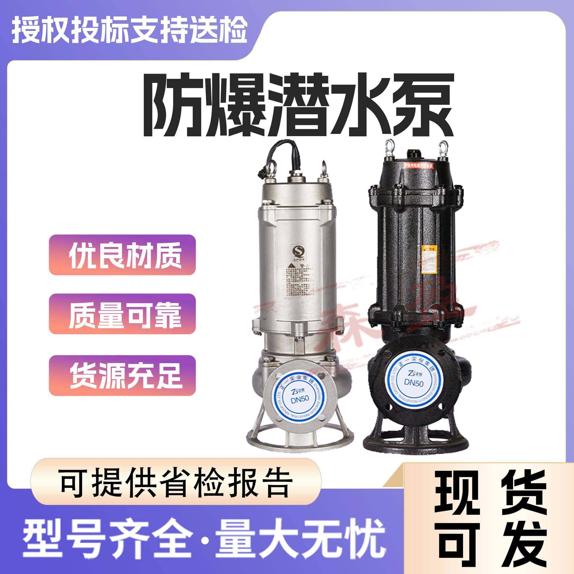 1米扬程隔爆型潜水排沙电泵高压潜水泵1.1kw矿用防爆潜污水泵