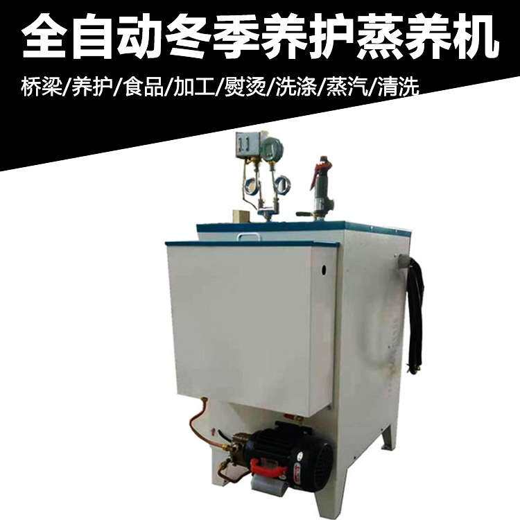 桥梁养护蒸养机48kw蒸汽发生器电加热混凝土养护蒸汽机锅炉蒸汽机