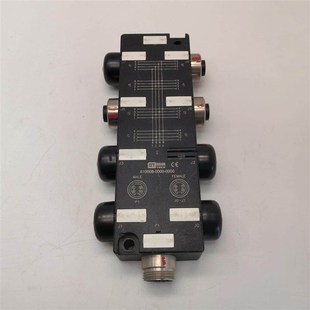 GSEE吉诺分线模块 0000 型号810008