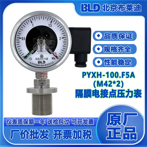 BLD北京布莱迪全钢隔膜电接点压力表PYXH-100.AO.F5A M42*2探入式