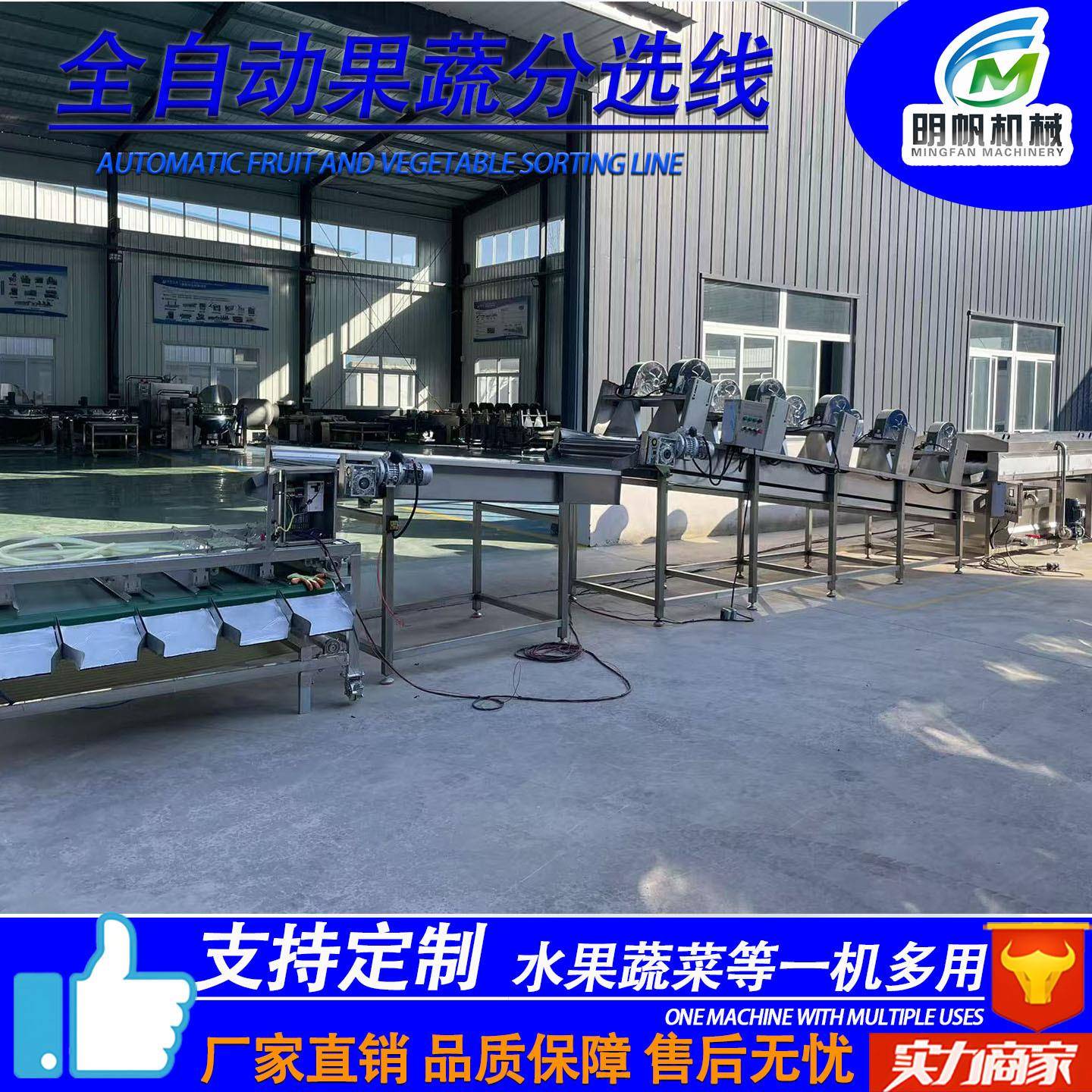 水果清洗风干挑选流水线 李子西梅分级设备 橙子柑橘分选打蜡机