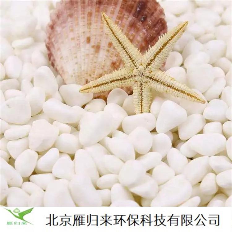 石园林铺路雨花石头鱼缸造景园艺盆栽庭院白色抛光鹅卵石厂家