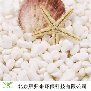 石园林铺路雨花石头鱼缸造景园艺盆栽庭院白色抛光鹅卵石厂家