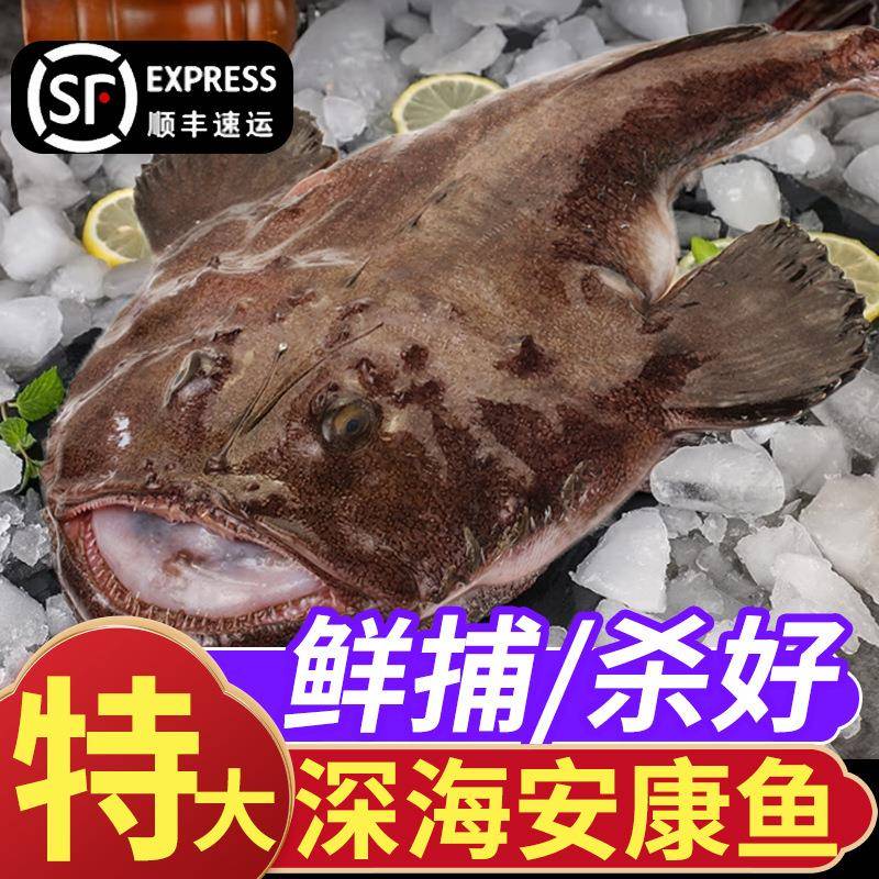 安康鱼新鲜冷冻蛤蟆鱼魔鬼鱼大嘴鱼刺深海鲜鮟鱇带鱼肝鱼肚水产