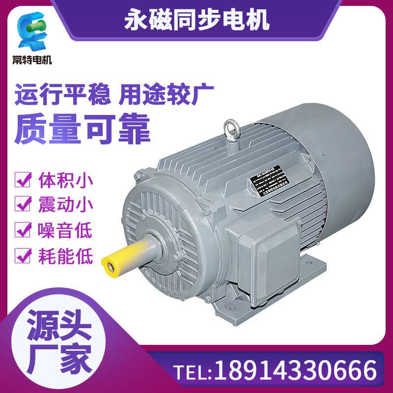 源头厂家供 380V三相永磁同步电机 三相异步电动机 小体积振动小