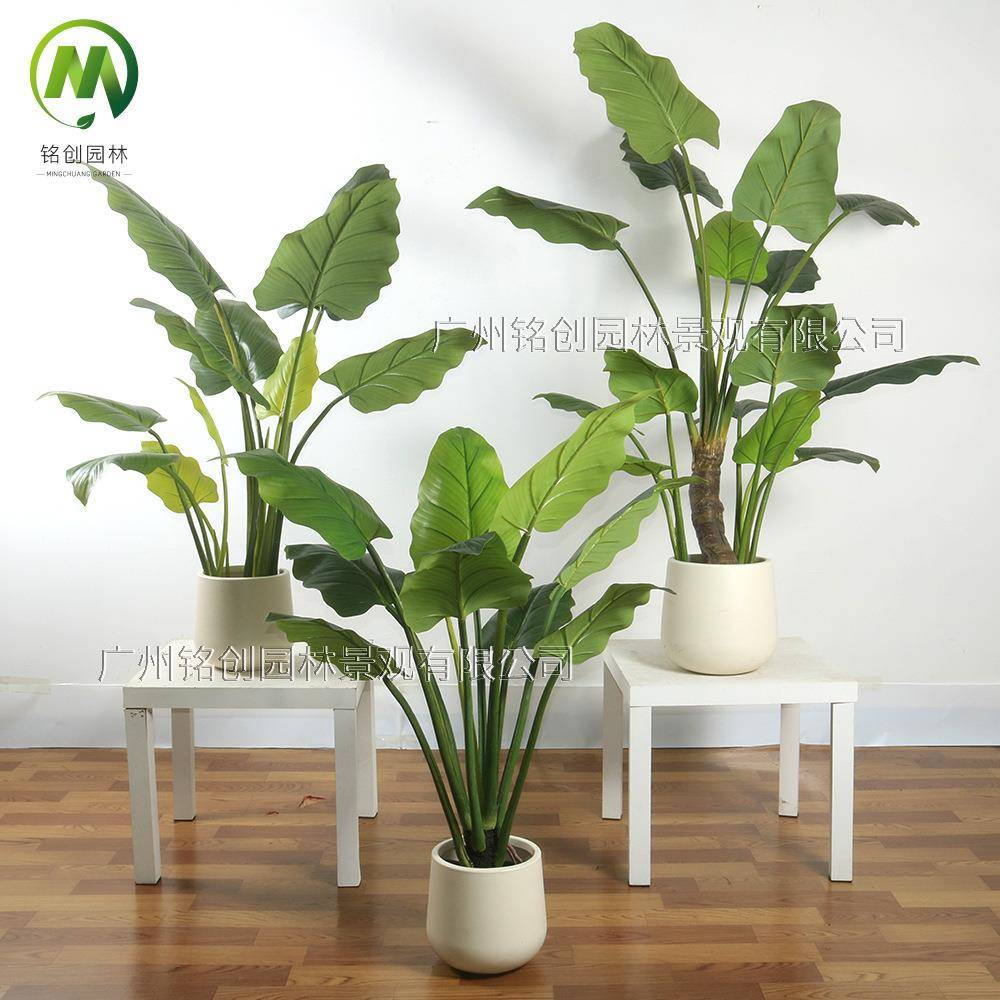 仿真绿植假树室内家居装饰植物 商业美陈植物摆件大型绿帝王盆栽