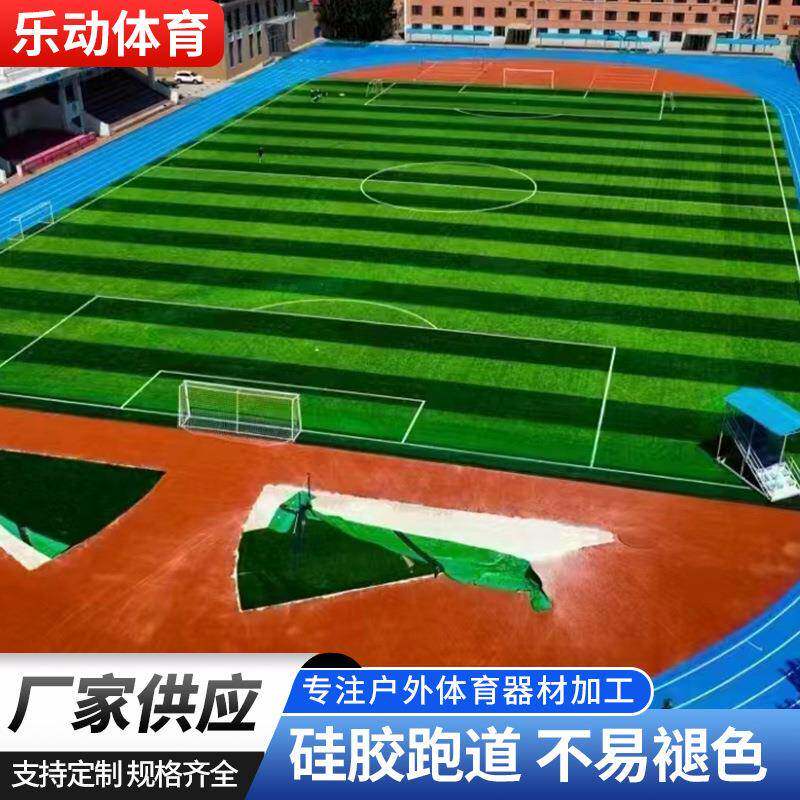 厂家供应塑胶跑道学校操场用透气型塑胶跑道彩色橡胶颗粒跑道