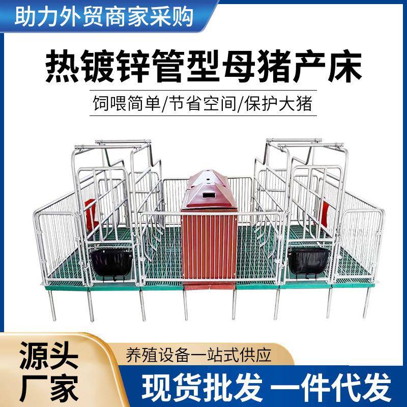 新款全复合母猪产床产保一体热镀锌管型母猪产床保育两用现货供应