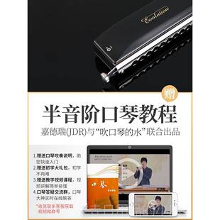 高档JD嘉爵德瑞EVO-0648S半音阶R初学入门专业口琴成人民谣士流行
