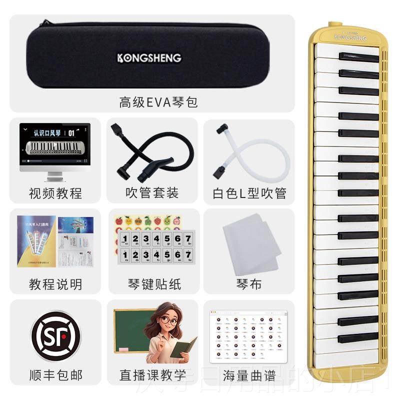 高档口孔声口风琴成人7键风琴专业演中奏级风琴口吹3琴小学生初生,乐器/吉他/钢琴/配件,口风琴,淘宝优惠券,粉丝福利购,淘宝优惠卷