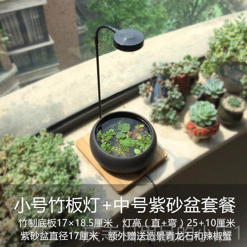 高档创意紫陶瓷景鱼缸砂桌面盆生态造景微观水培植物盆景浮萍观赏