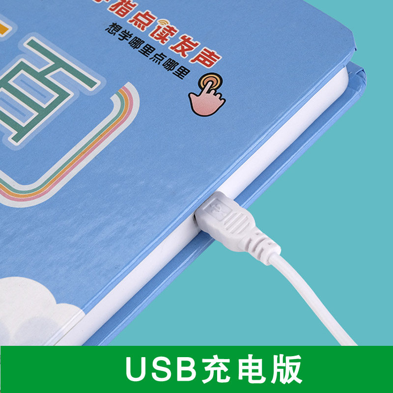 儿童早教识字卡片3000启蒙幼儿园认字有声挂图宝宝点读书发声教具