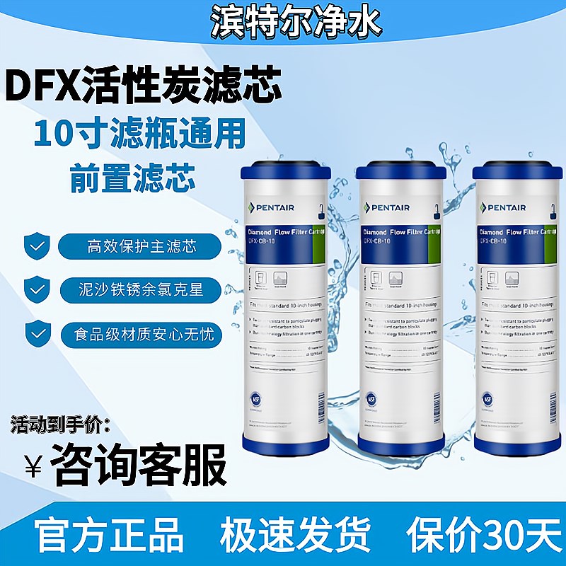 滨特尔DFX活性炭复合滤芯EF-10 GAC通用10寸滤芯碳棒去除余氯异味