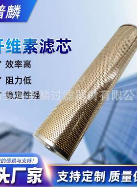 除酸滤芯A156.73.43.10 EH油站进口处电厂选用纤维素滤网