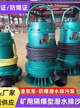 防爆潜污泵1140V660V BQS隔爆型潜水排沙矿用BQS80-450/4-220KW