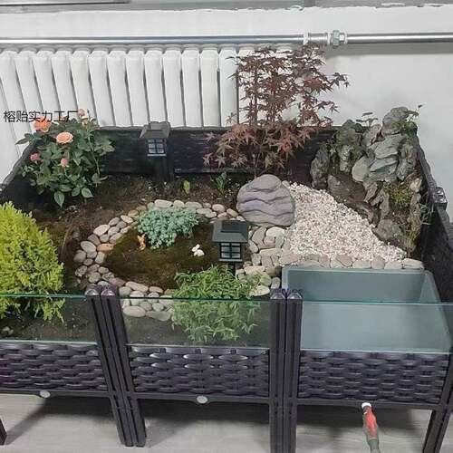 黄缘龟饲养箱安缘台缘闭壳龟苗造景植物生态环境乌龟专用缸养殖箱