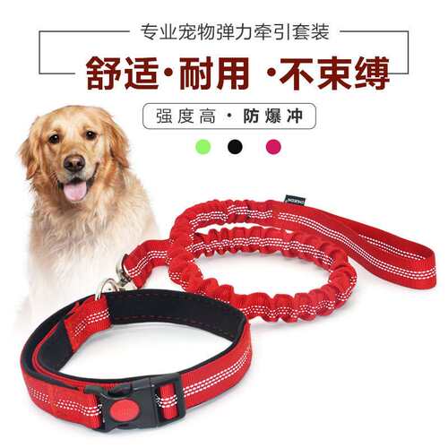 Chukchi中型大型犬狗狗金毛拉布拉多弹力遛狗绳子项圈牵引套装