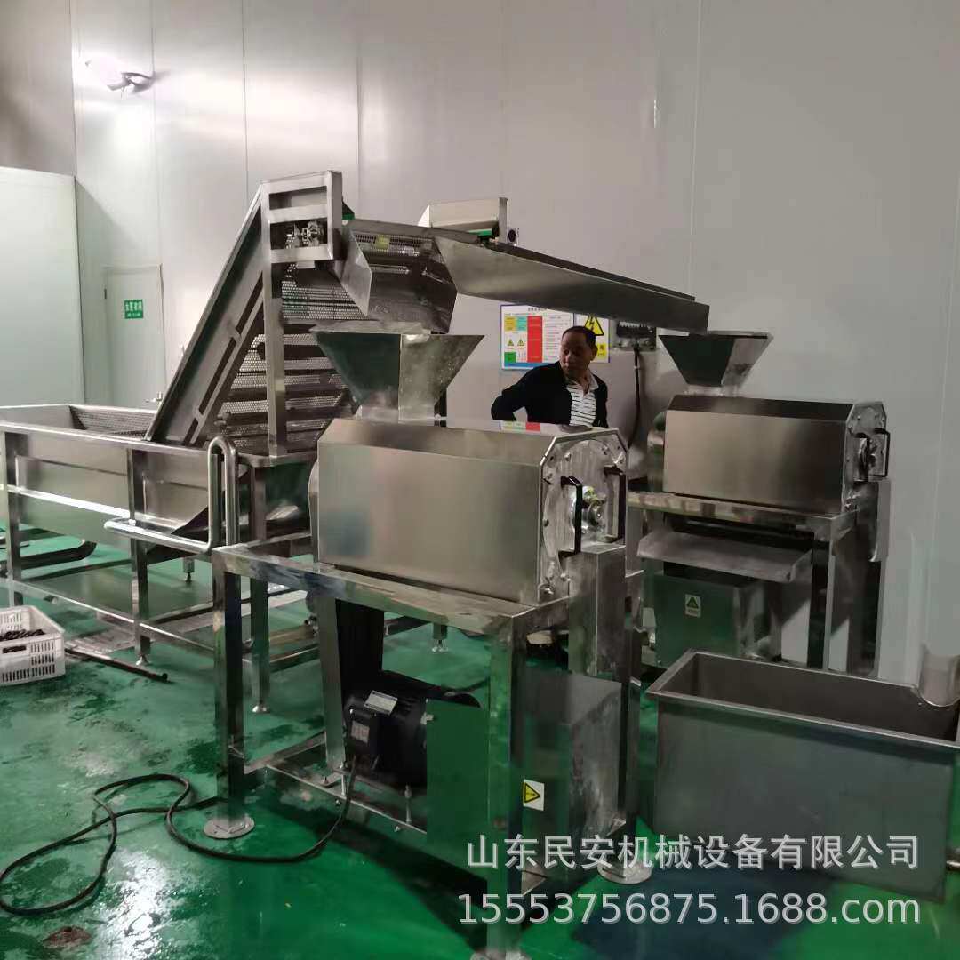 樱桃去核打浆机工业南酸枣去核机商用芒果橙子去皮打浆机