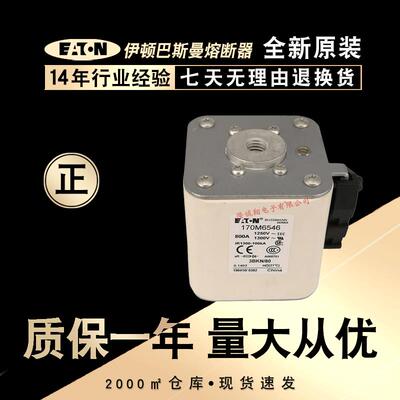 熔断器170M6538 6539 6540 6541 6542 6543 6544 6545 6546 6547